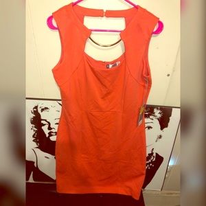 Jennifer Lopez Summer Dress NWT